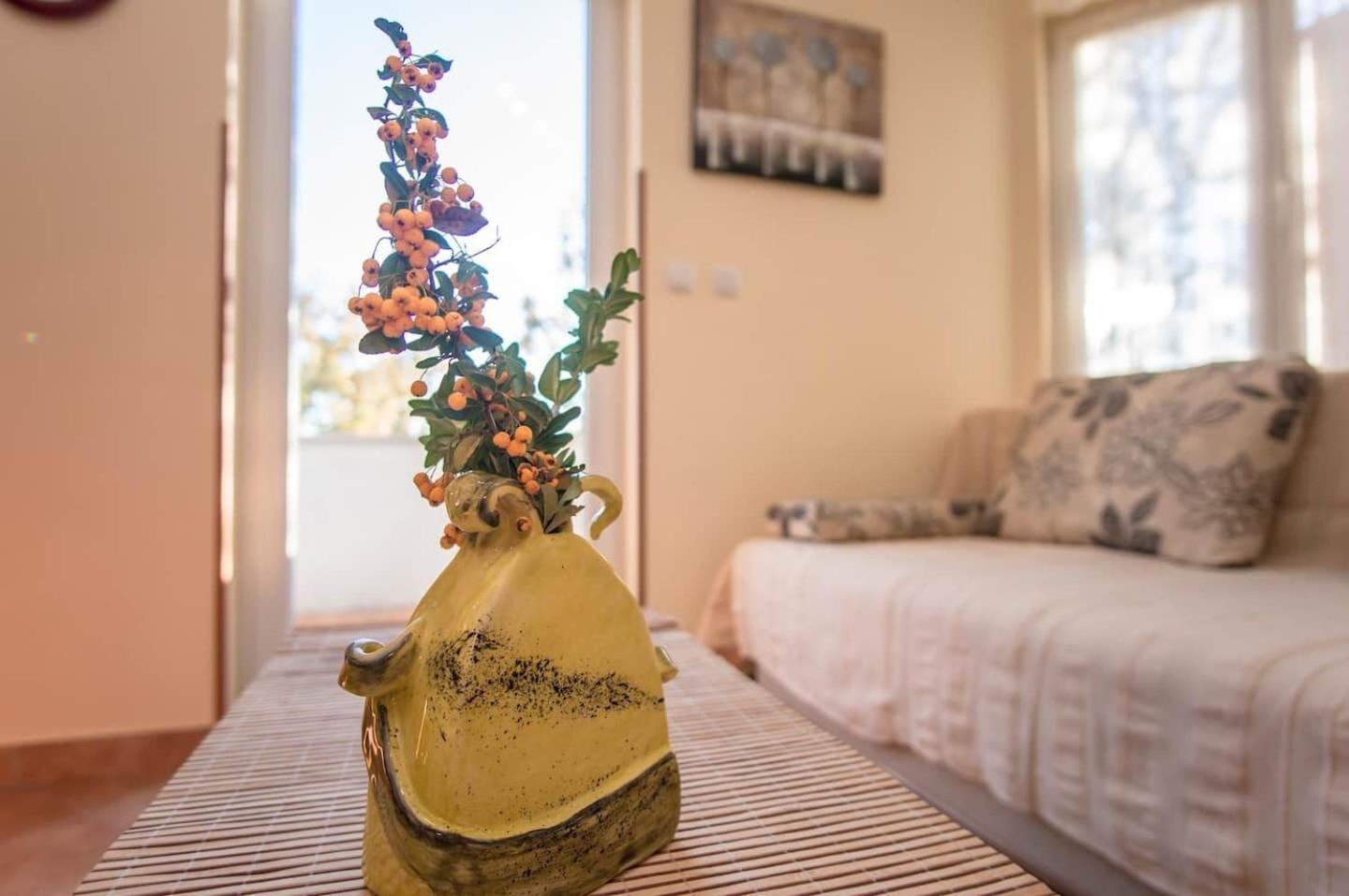 Apartment Marinko Barban Kültér fotó
